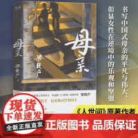 正版 母亲 梁晓声作品集 套装单本可选第十届茅盾文学奖得主 电视剧 人世间 原著作者梁晓声 书写中国式母亲的平凡与伟