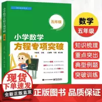 [正版]小学数学方程专项突破 5年级五年级 知识梳理 重点突出 典型例题 突破训练 正版书籍 电子工业出版社