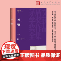 回响 茅盾文学奖获奖作品全集 东西最新长篇小说余华冯小刚陈建斌倾情 第11届茅盾文学奖获奖作品 人民文学出版社正版书籍
