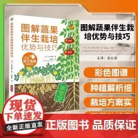 图解蔬果伴生栽培优势与技巧 蔬菜栽培种植技术书籍 蔬菜伴生栽培模式 蔬果栽培搭配 常见蔬菜伴生表机械工业出版社
