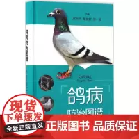 鸽病防治图谱赵宝华,戴鼎震,杨一波 主编WX