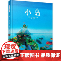 小岛(荷)马克·杨森(Mark Janssen) 文图;阿甲 译 著WX