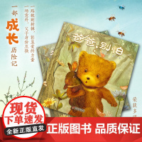 正版童书 中少阳光图书馆 爸爸 别怕 一本看过之后会流泪的亲情图画书 一部关于生命和成长的童话 小熊变成了一头真正的熊