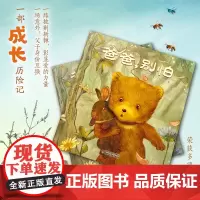 正版童书 中少阳光图书馆 爸爸 别怕 一本看过之后会流泪的亲情图画书 一部关于生命和成长的童话 小熊变成了一头真正的熊