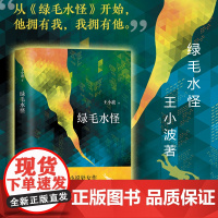绿毛水怪 王小波作品 黄金时代三部曲 王小波散文集黄金时代爱你就像爱生命中国现当代文学小说散文随笔杂文卷 现当代文学