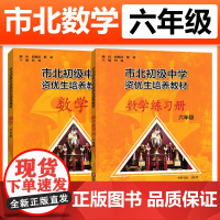 市北资优生教材数学六年级上海市北理四色书初中竞赛培优课程书中考练习册市北初级中学资优生培养教材