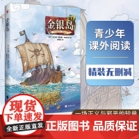 正版书籍 金银岛 精装无删减儿童冒险小说一场正义与邪恶的较量原著史蒂文森青少年小学生课外阅读故事世界名著文学五年级读物