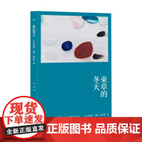 束草的冬天 故事群岛 法 埃莉萨·秀雅·迪萨潘 著 狄佳 译 罗伯特·瓦尔泽奖 法韩混血女作家首作 女性主义 正版书籍