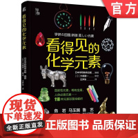 正版 看得见的化学元素 日本学研教育出版编著 原子 周期表 规律 原理 发现 命名 性质 应用 青少年 普及读物机械