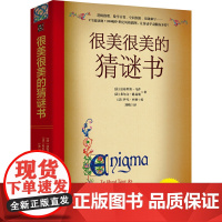 很美很美的猜谜书(升级版)10-12-15岁初中小学生益智打谜语课外读物书籍提高数学空间逻辑思维能力解字开发脑力创造力