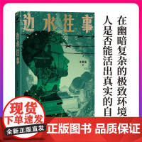 边水往事 沈星星著郭麒麟吴镇宇主演 边水往事 原著同名小说 自身的亲身经历 现代纪实报告文学随笔书 金三角现代纪实