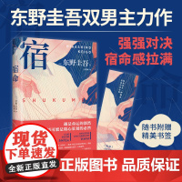 赠书签 东野圭吾 宿命 东野圭吾宿命感拉满的双男主力作 不寒而栗惊天反转强强对决 外国文学悬疑惊悚破案小说正版书籍