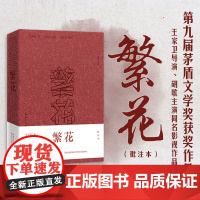 繁花(批注本)第九届茅盾文学奖获奖作品 独特批注版本 胡歌主演同名剧集 王家卫导演同名剧集原著 沈宏非批注正版书籍