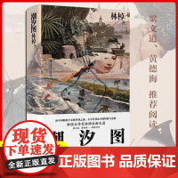 正版 潮汐图 林棹豆瓣年度作者 梁文道黄德海 当代文学精装 上海文艺出版社长篇小说 另著流溪 小说散文书籍上海文艺