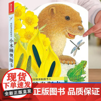 正版童书 亮丽精美触摸书 小水獭奥斯卡 幼儿早教读本 真实手感 手脑互动 大面积仿真材质还原真实触感 安全材质 不脱落