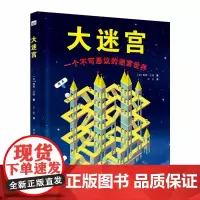 大迷宫(英)西蒙.沃德 著 王玉 译WX