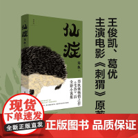 仙症小说 郑执著 葛优王俊凯主演顾长卫导演电影《刺猬》原著小说 顾长卫 中国文学小说作品集现代散文小说正版书
