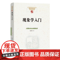 现象学入门 中国现象学文库 现象学原典译丛 扎哈维系列 丹 扎哈维著 康维阳译 豆瓣高评分 商务印书馆 正版书籍