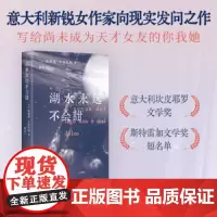 [正版书籍]湖水永远不会甜 意大利新锐女作家获奖作 反成长套路反精英主义反“天才女友”的女性故事曾有人像鸟飞往她的山