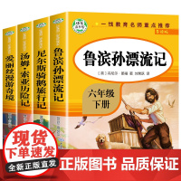 正版全四册 快乐读书吧六年级下册鲁滨逊漂流记尼尔斯骑鹅旅行记爱丽丝梦游仙境汤姆索亚历险记小学生课外阅读课外书正版