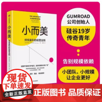 小而美持续盈利的经营法则萨希尔拉文吉亚著做好小团队管理维持企业持续经营硅谷青年创业总结回顾管理类书籍企业经营正版书籍