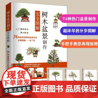 树木盆景制作完全图解 盆景书籍盆栽书籍 盆景造型设计图盆景制作书养护书籍盆景艺术造型书树木盆景造型设计书
