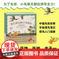 我们身边的小鸟朋友 手绘观鸟笔记 青少年少儿科普读物 课外读物 鸟类科普图鉴 手绘插画 本书适合自然爱好者和艺术爱好者阅
