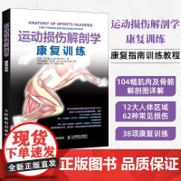运动损伤解剖学 康复训练 [英]利·布兰登(Leigh Brandon) 解析运动损伤预防与康复训练设计方法 结合104