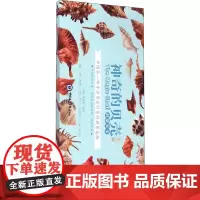 神奇的贝壳(**辑)魏建功,耿秉 编WX