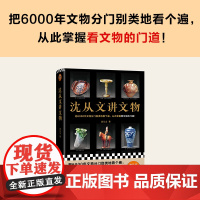 沈从文讲文物 近200张彩插把6000年文物分门别类地看个遍从此掌握看文物的门道 看懂玉器陶瓷漆器等文物的门道 正版书籍