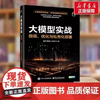 大模型实战 微调 优化与私有化部署 庄建 优化与私有化部署 大模型应用开发项目实战 多领域智能应用开发 RAG技术应用与