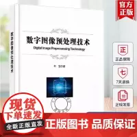 正版 数字图像预处理技术石宝 对比度增强方法考虑色彩信息损失的方法色觉原理 色觉理论 可见光 颜色空间 书籍电子工业