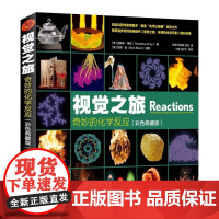 [出版社直供]视觉之旅 奇妙的化学反应 彩色典藏版 [美] 西奥多 格雷(Theodore Gray 人民邮电出版社 正