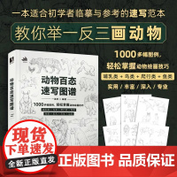动物百态速写图谱 速写书速写临摹范本动物速写描摹本新手自学教程素描线描动物插画速写临摹图集线稿临摹画册美术技法训练数艺设