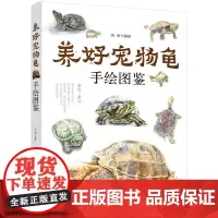 正版 养好宠物龟手绘图鉴 45种宠物乌龟巴西龟草龟黄耳大鳄龟黑靴特点生活环境搭建喂养方法 繁殖龟病防治饲养宠物龟 指导参