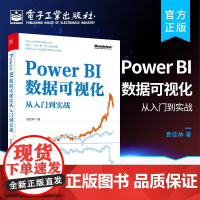 正版 Power BI数据可视化从入门到实战 Power BI入门与进阶书籍 Power BI数据分析及仪表板设计整体流