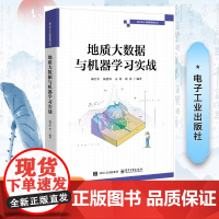 [正版]地质大数据与机器学习实战 邱芹军 等 编 计算机控制仿真与人工智能专业科技 正版图书籍 电子工业出版社