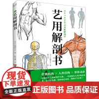 正版 艺用解剖书 艺用解剖基础入门课 运动器官人体体表结构 简易骨骼图手部解剖素描图 艺用解剖学速写技法教程书籍 张文慧