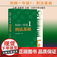 正版 刑辩一年级1 刑法基础 江溯 赵春雨 消费者导向的刑法基础图书 刑法书籍 北京大学出版社9787301346310
