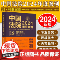 正版 中国法院2024年度案例19 刑事案例一 犯罪刑罚具体运用 刑事证据程序 法律适用方法裁判规则司法实务案例分析工具