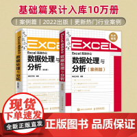 Excel数据处理与分析:基础篇+案例篇 Excel教程书籍wps函数公式大全与数据处理分析高效办公自动化应用软件计算机