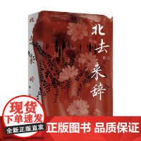 北去来辞 林白 著 林白代表作十周年纪念版 第九届茅盾文学奖提名奖 陈思和 张新颖 张莉 项静诚挚 中国当代小说