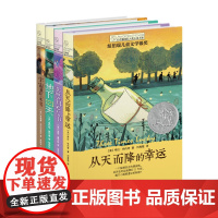 全新精装正版图书·长青藤小说书系·第二辑(套装共4册)荣获国际小说金奖 提名2023年诺贝尔小说优秀小说系列
