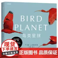 [正版书籍]鸟类星球:摄影之旅自然摄影大师蒂姆·拉曼 近30年重磅作品完整收录 每张画面都是我们更爱这个世界的理由