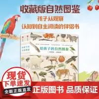 正版童书 给孩子的自然图鉴 沈兆媛著 动植物生命形态科学认知自然手绘感受力伴侣书 锻炼孩子认知自然的思维力 中信出版社