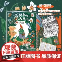 森林里的小女巫 小女巫的四季童话 不一样的女巫故事永恒的爱与温暖一部属于现代孩童的经典童话 法国女巫奖获奖童话故事书