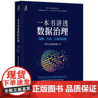 一本书讲透数据治理:战略方法工具与实践 用友平台与数据智能团队 用户画像 DAMA 标签 数据管理 著机械工业出版社 计