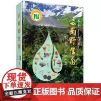 云南野生菌云南野生菌 编者杨祝良王向华吴刚 正版 汉名拉丁名索引书籍真菌囊菌担子菌原生境彩图 封面介绍彩图卡片