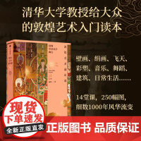 敦煌艺术通识课 清华大学教授写给大众的14堂入门课 杨琪著
