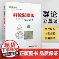 群论彩图版 内森 卡特 郭小强 罗翠玲 初级课程 观察魔方 晶体学 数字群 代数定义 青少年数列微积分解析几何数学建模趣